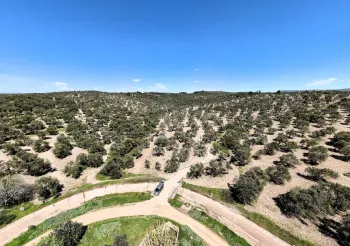 Land in Ayvalik